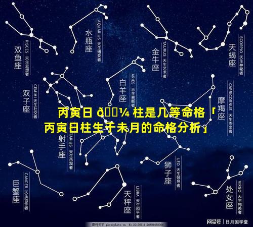 丙寅日 🐼 柱是几等命格「丙寅日柱生于未月的命格分析」